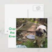 Über dem Fluss Postkarte (Vorne/Hinten)