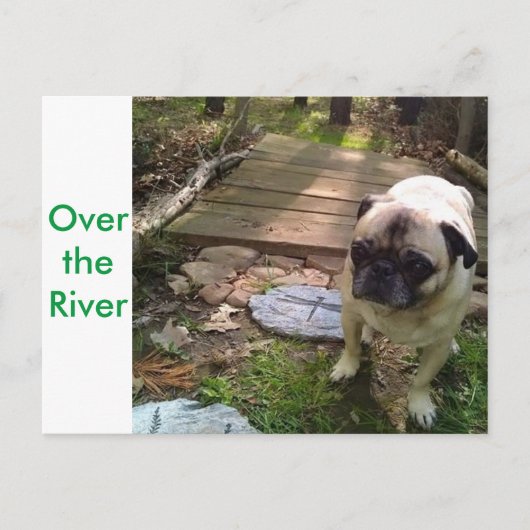 Über dem Fluss Postkarte (Vorderseite)