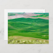 Über dem grünen Palouse von Steptoe Butte Postkarte (Vorne/Hinten)