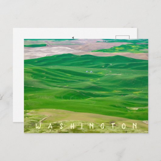 Über dem grünen Palouse von Steptoe Butte Postkarte (Vorne/Hinten)