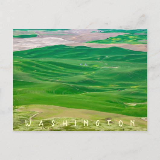 Über dem grünen Palouse von Steptoe Butte Postkarte (Vorderseite)