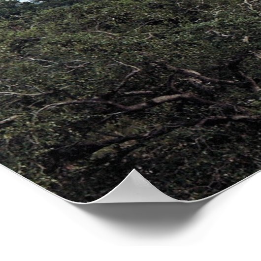 Über dem Park Poster (Ecke)