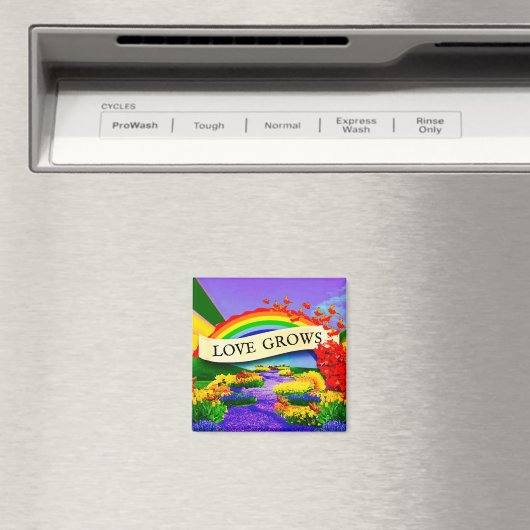ÜBER DEM RAINBOGEN MAGNET (In Situ (Geschirrspüler))