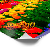 ÜBER DEM RAINBOGEN POSTER (Ecke)