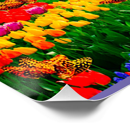 ÜBER DEM RAINBOGEN POSTER (Ecke)