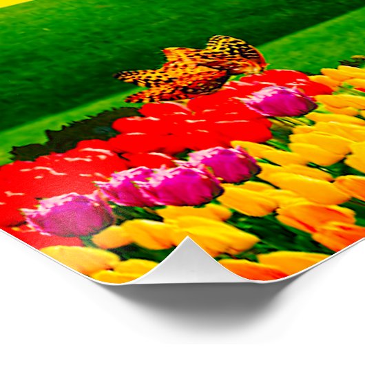 ÜBER DEM RAINBOGEN POSTER (Ecke)