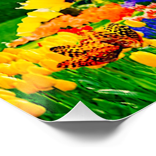 ÜBER DEM RAINBOGEN POSTER (Ecke)