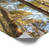 Über den Bäumen – Friedliche Naturlandschaft Poster (Ecke)