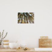 Über den Bäumen – Friedliche Naturlandschaft Poster (Küche)