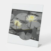 Über den Rahmen hinaus blühen Sockelschild (Vorderseite)