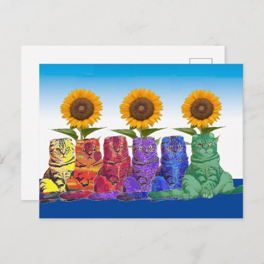 Über den Regenbogen Katzen Postkarte (Vorne/Hinten)