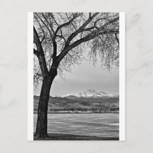 Über den See in Schwarz und Weiß Postkarte