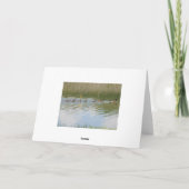 Über den Teich hinausgehen, um zu sagen, Karte (Rückseite)