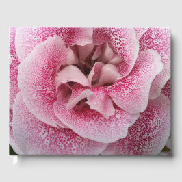 Über dich gästebuch