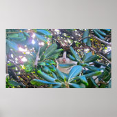 Über die Blätter Poster (Vorne)