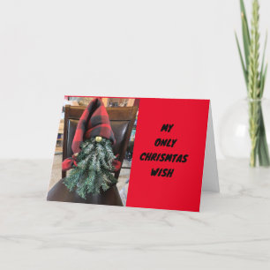 **ÜBER DIE MEILEN** IN DIESEM JAHR AUF CHRISTMAS FEIERTAGSKARTE