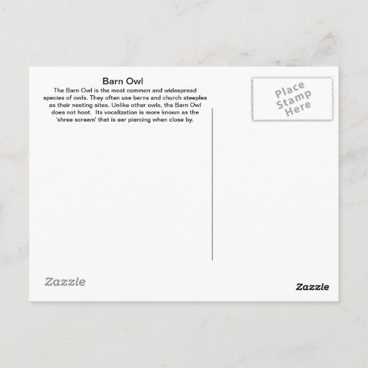 Über die Postkarte "Barschüssel" (Rückseite)