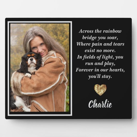 Über die Regenbogenbrücke hinweg König Charles Spa Fotoplatte (Vorderseite)