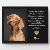 Über die Regenbogenbrücke Vizsla Hund Fotoplatte (Vorderseite)