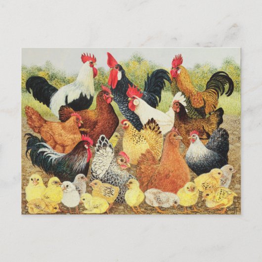 Über etwas zu reden postkarte (Vorderseite)