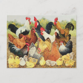 Über etwas zu reden postkarte