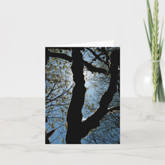 ÜBER KARTE (Vorderseite)