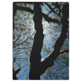 ÜBER KLEMMBRETT (Rückseite)