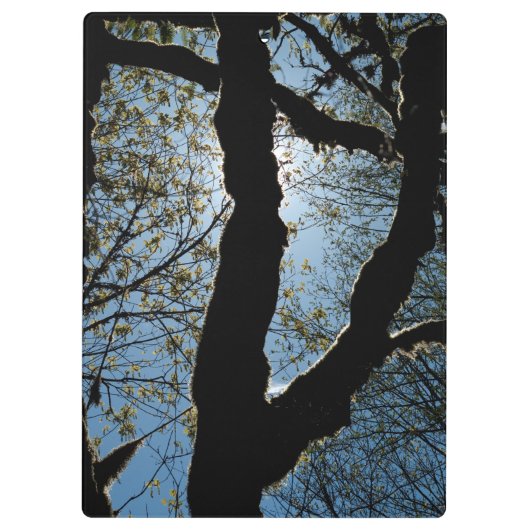 ÜBER KLEMMBRETT (Rückseite)