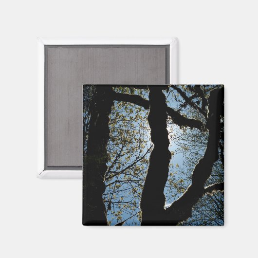 ÜBER MAGNET (Vorderseite/Rückseite)