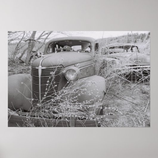 über poster (Vorne)