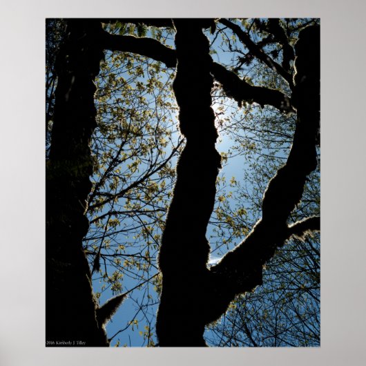 ÜBER POSTER (Vorne)