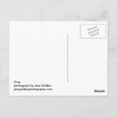 Über Postkarte (Rückseite)