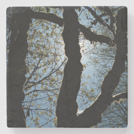 ÜBER STEINUNTERSETZER (Vorderseite)