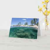 Über und unter Lake Tahoe Karte (Gelbe Blume)