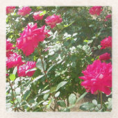 Überall Fuchsienrosen Glasuntersetzer (Vorderseite)