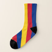 Überall Print Socks mit Flagge in Rumänien Socken (Links - Außen)