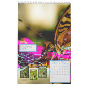 ÜBERARBEITET: "Entnahme" Kalender (Feb 2027)