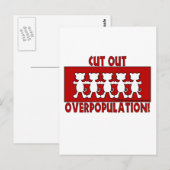 Überbevölkerungsreduzieren! Katzen Postkarte (Vorne/Hinten)