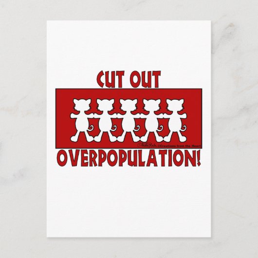 Überbevölkerungsreduzieren! Katzen Postkarte (Vorderseite)