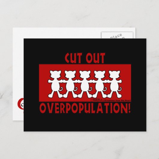 Überbevölkerungsreduzieren! Katzen Postkarte (Vorne/Hinten)