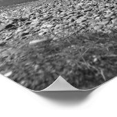 Überblick über den Grand Teton Nationalpark Poster (Ecke)