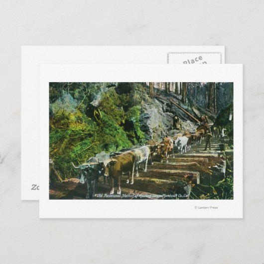 Überblick über die Hauling-Logs der Ox-Teams Postkarte (Vorne/Hinten)