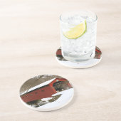 Überdachte Brücke in Arlington, VT Getränkeuntersetzer (Seite)