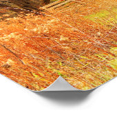 Überdachte Brücke über den Zuckergreifer Poster (Ecke)