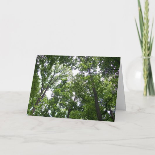 Überdachung Dankeskarte (Vorderseite)