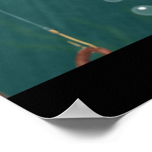 Überfischung Poster (Ecke)