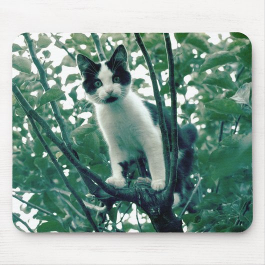 Überfluss der Naughtlichkeit Mousepad (Vorne)