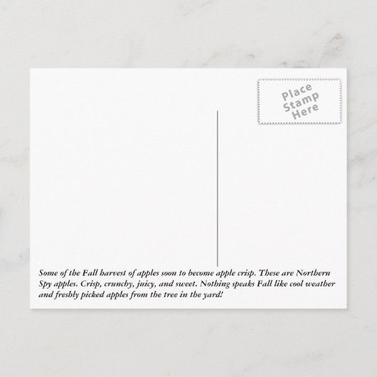 Überfluss Postkarte (Rückseite)