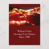 Überfluss Postkarte (Vorderseite)