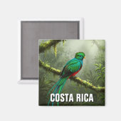 Überfluteter Nebelwald Quetzal Monteverde Magnet (Vorderseite/Rückseite)